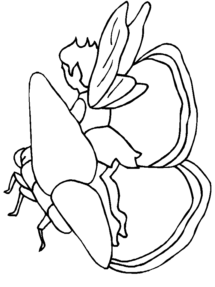 Fairies Fantansy Coloring Pages