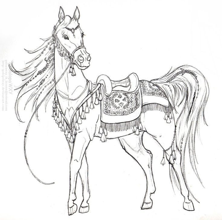 fancy horse coloring pages