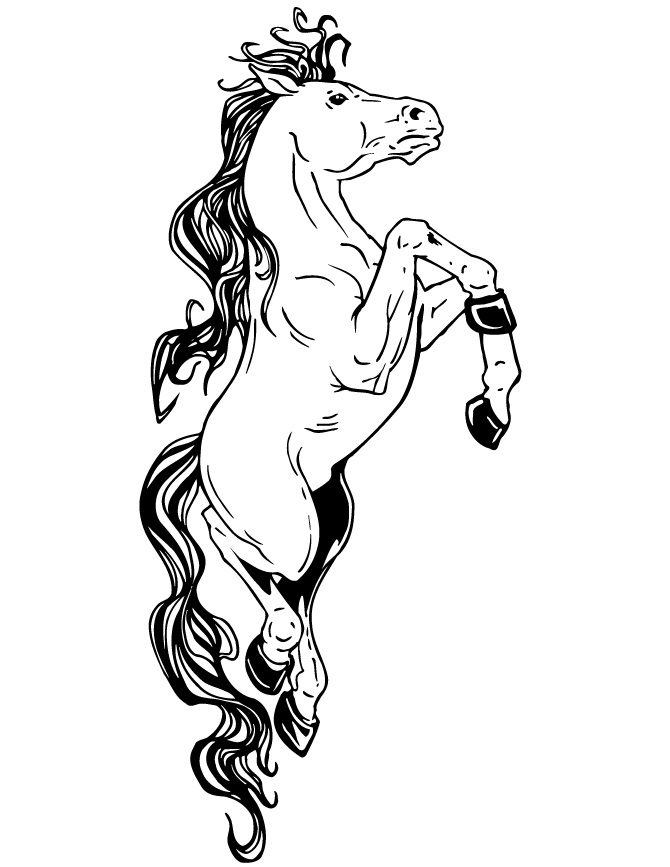 fantasy horse coloring pages