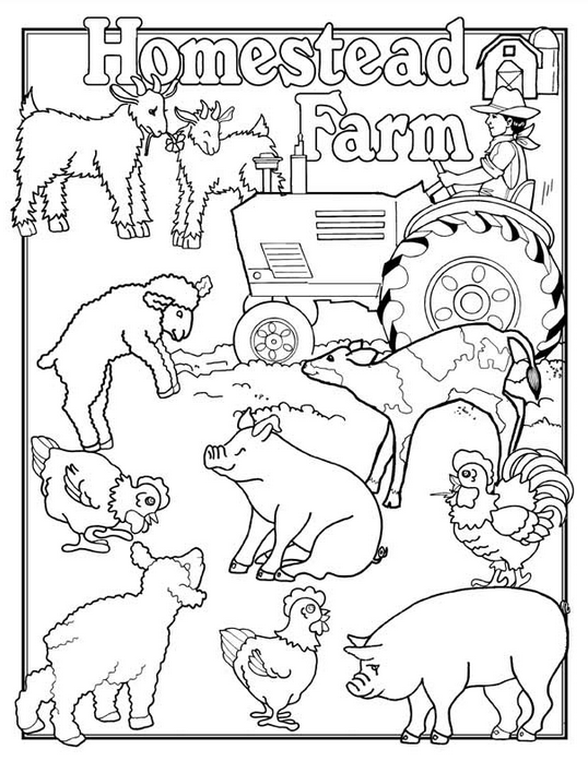 farm animals coloring page