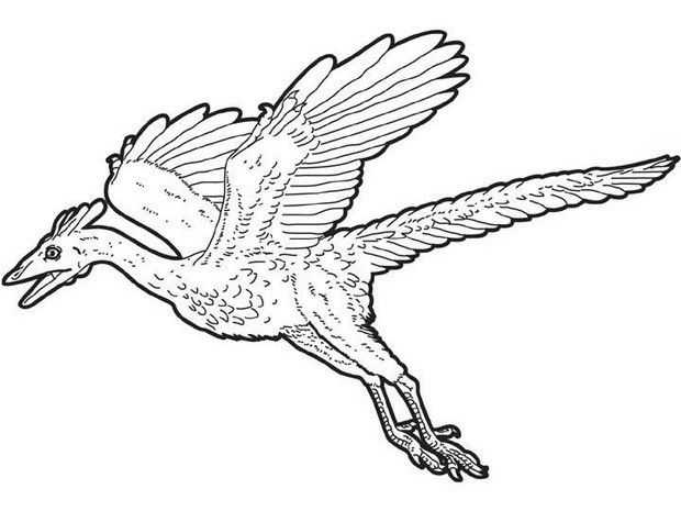 feathered-dinosaur-coloring-pages