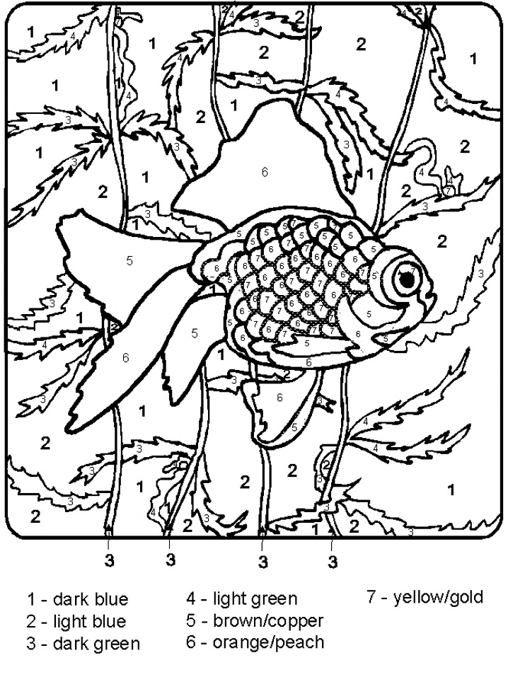 Fish Color By Numbers