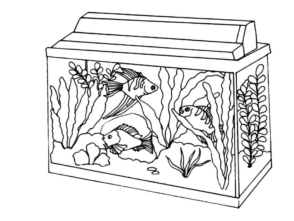 fish tank coloring pages