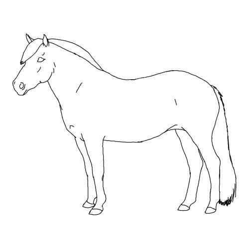 fjord horse coloring pages