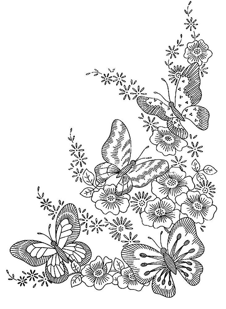 flower and butterfly coloring pages