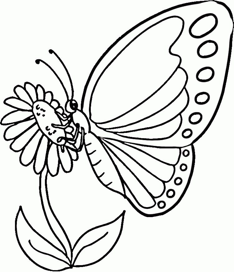 flower butterfly coloring pages