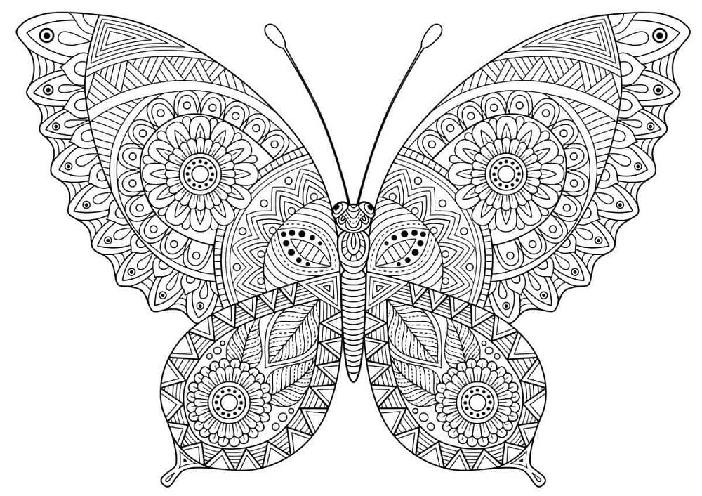 flower butterfly mandala coloring pages