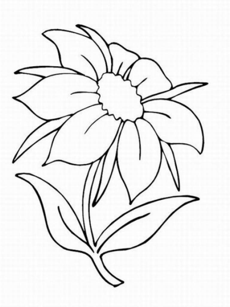 flower coloring pages for girls easy
