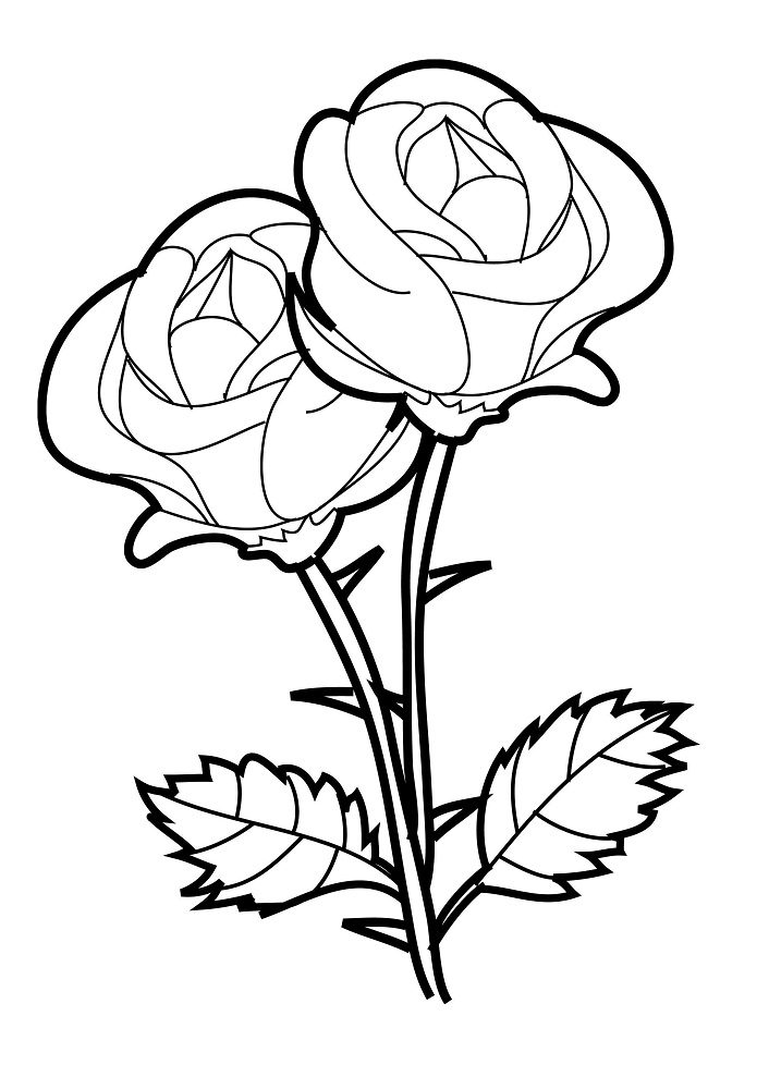 flower coloring pages rose