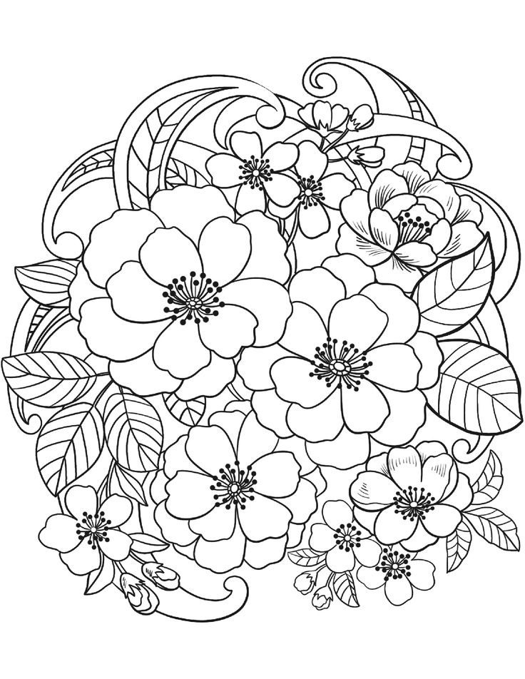 flower coloring sheet coloring pages