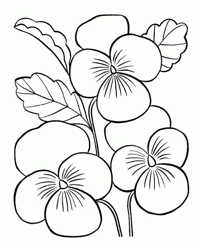 flower easy coloring pages for adults