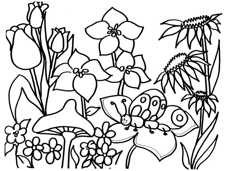 Flower Garden Coloring Page Book For Kids 