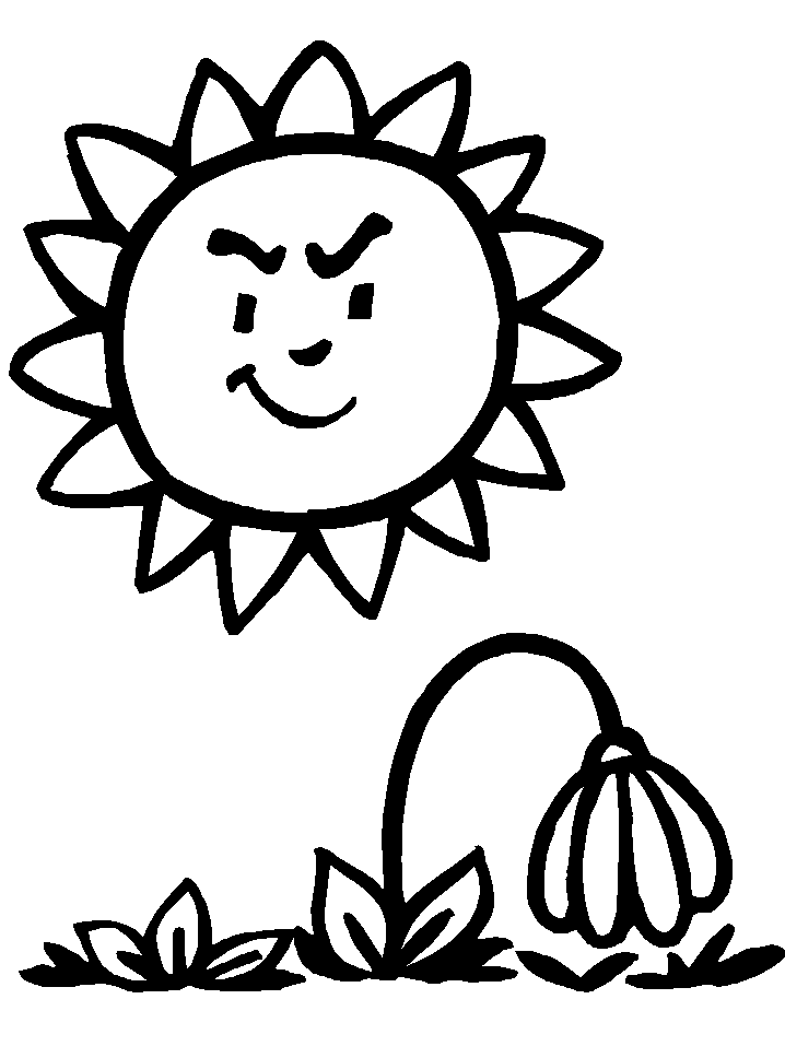 Flowers Printable Coloring Pages