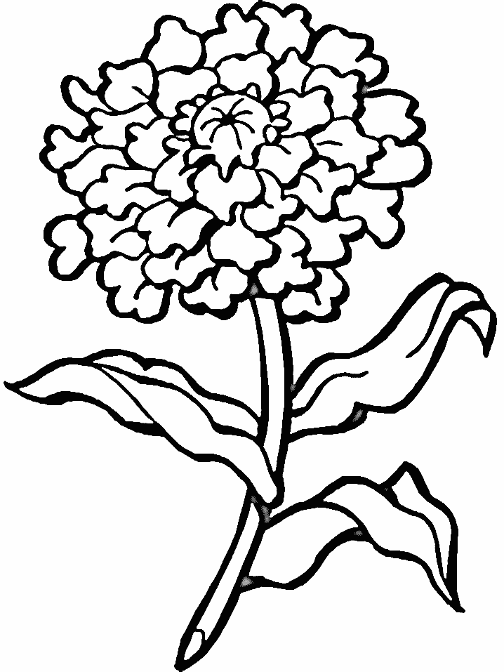 Flower6 Flowers Coloring Pages coloring page & book for kids.