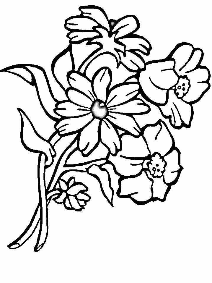 Flowers Free Coloring Pages