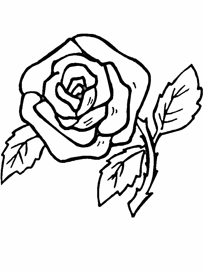 Rose Flower Color Page