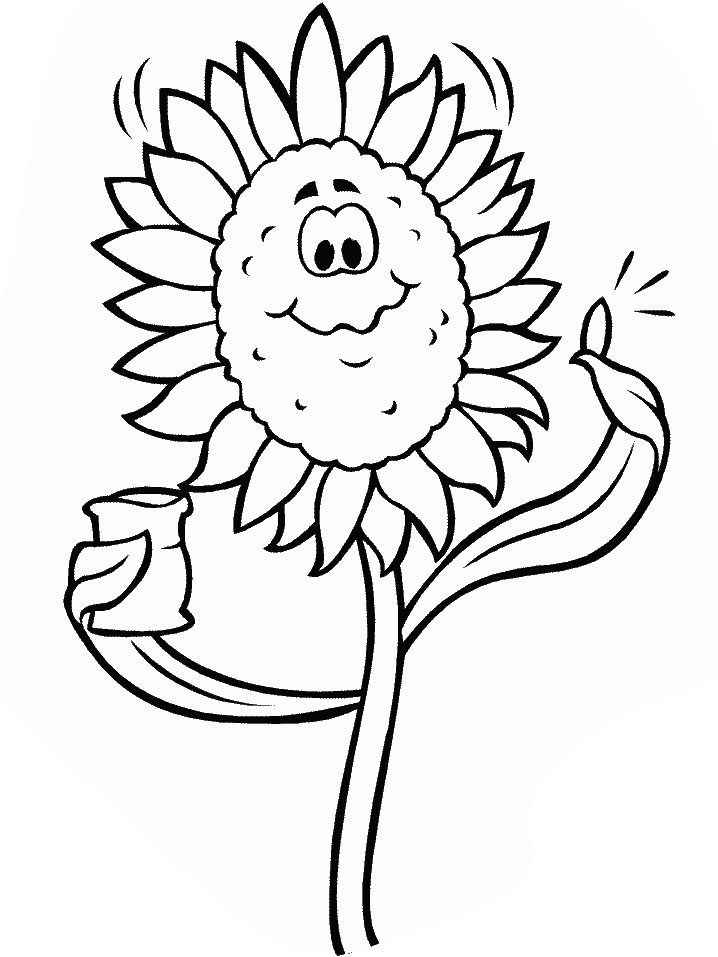 Sun Flower Coloring Pages Free