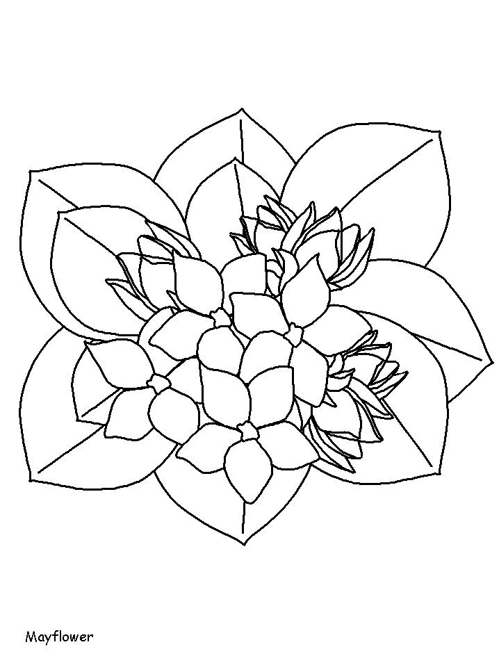 May Flower Coloring Pages