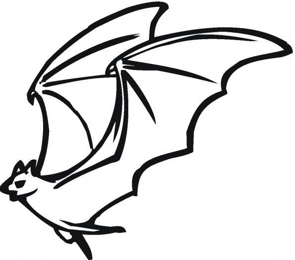 Flying Bat Coloring Page & coloring book. Find your favorite.