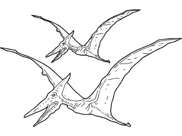 flying dinosaur coloring pages