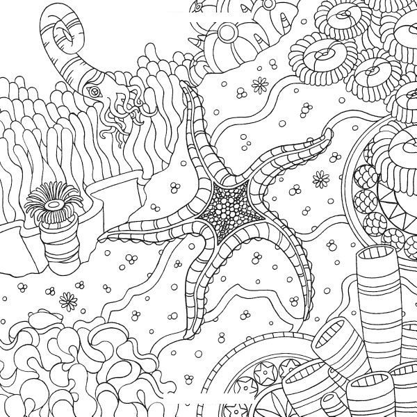 free adult coloring pages fantasy water