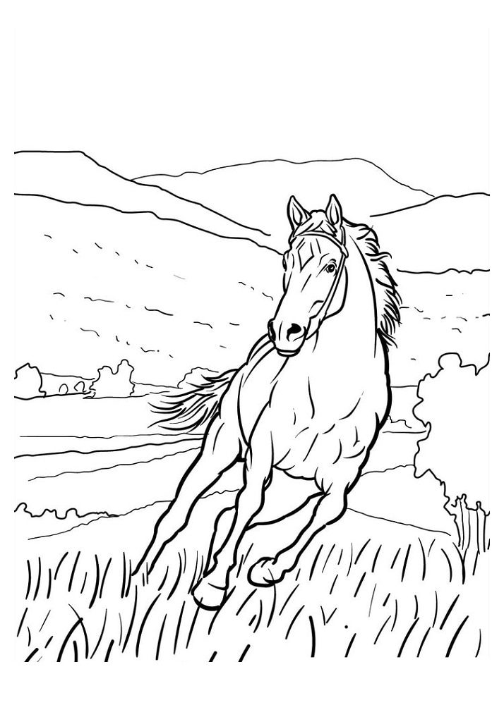 free adult horse coloring pages