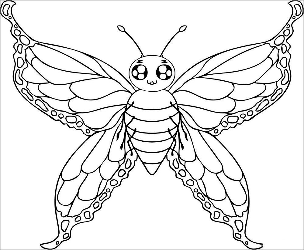 free butterfly coloring pages printable