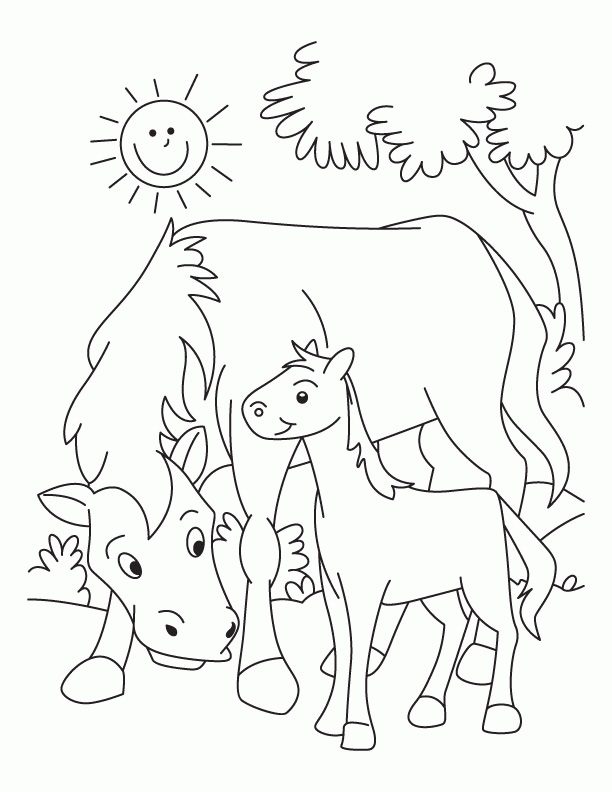 free coloring horse pages cartoon