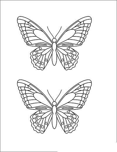 free coloring pages butterfly