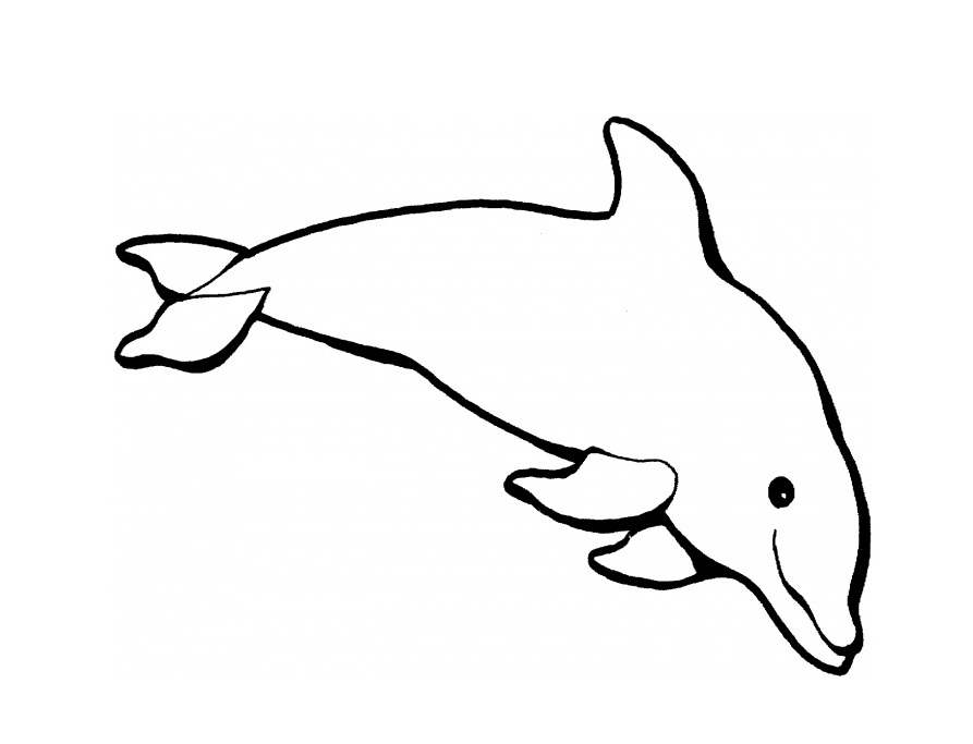 free coloring pages dolphin