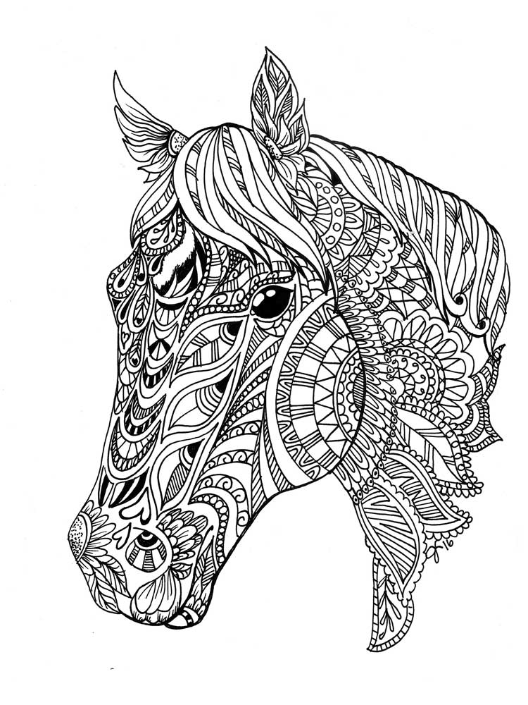 free coloring pages for adults horse