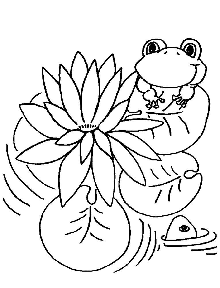 Water Lilies Free Coloring Pages for Adults
