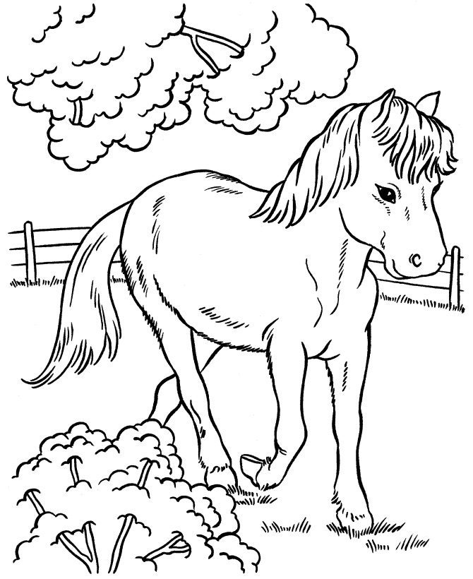 free coloring pages, horse