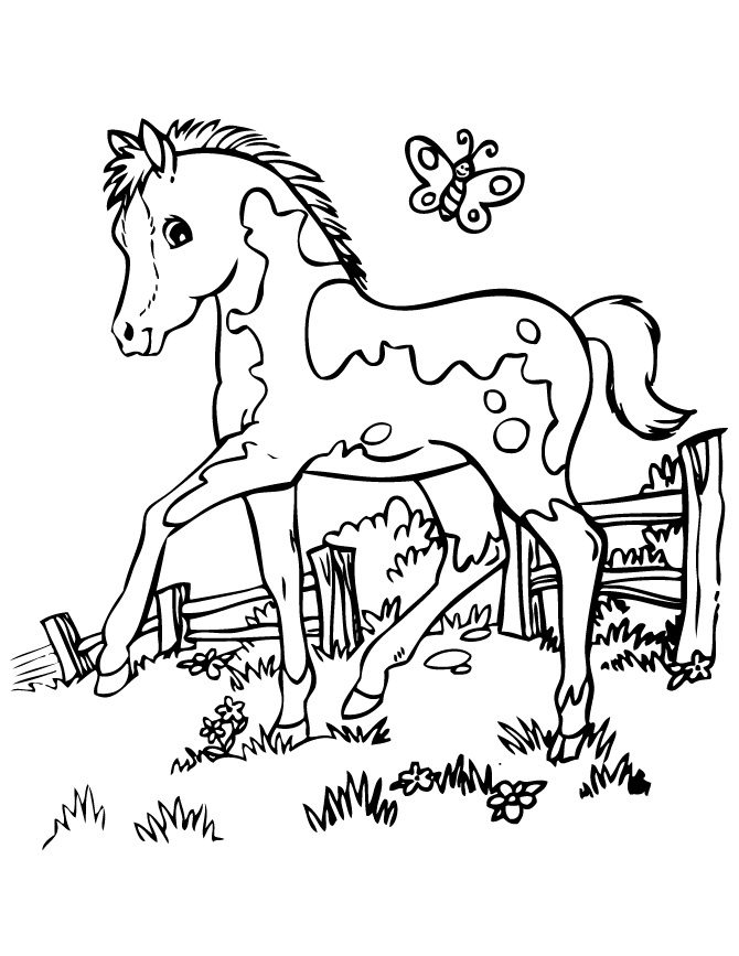 free coloring pages horse