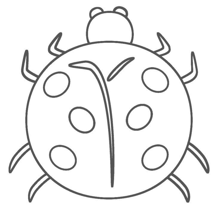 free coloring pages ladybug