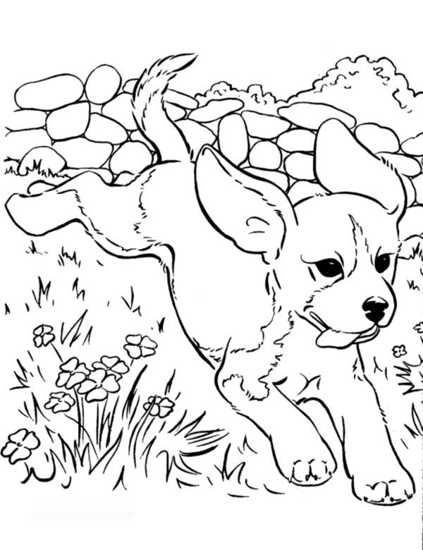 free dog coloring pages