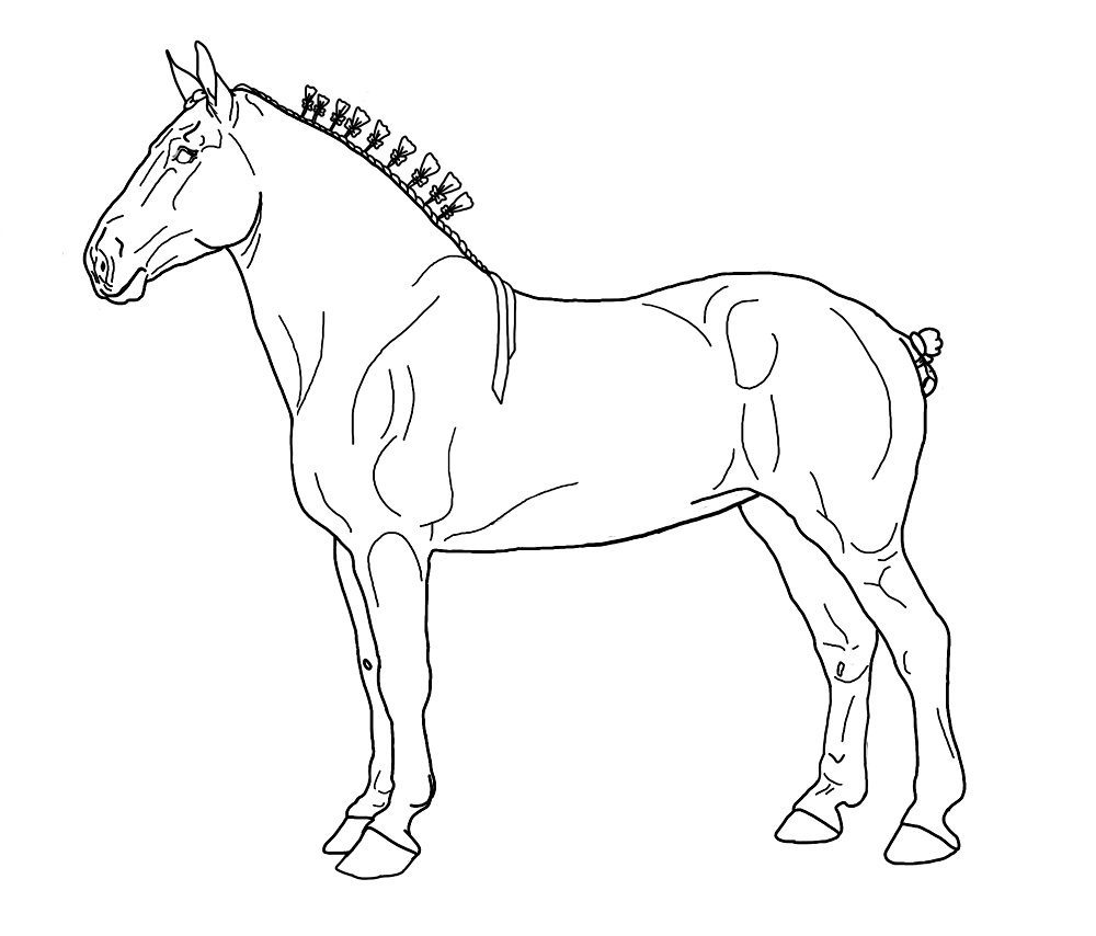 free draft horse coloring pages