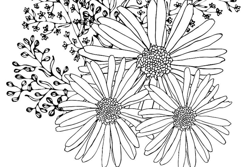 free flower coloring pages