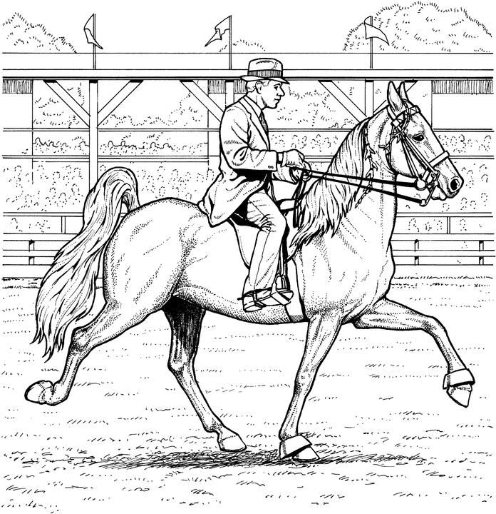 Free Hanoverian Horse with Riders Realistic Coloring Pages to Print for Adults