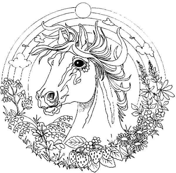 free horse coloring pages for adults mandala
