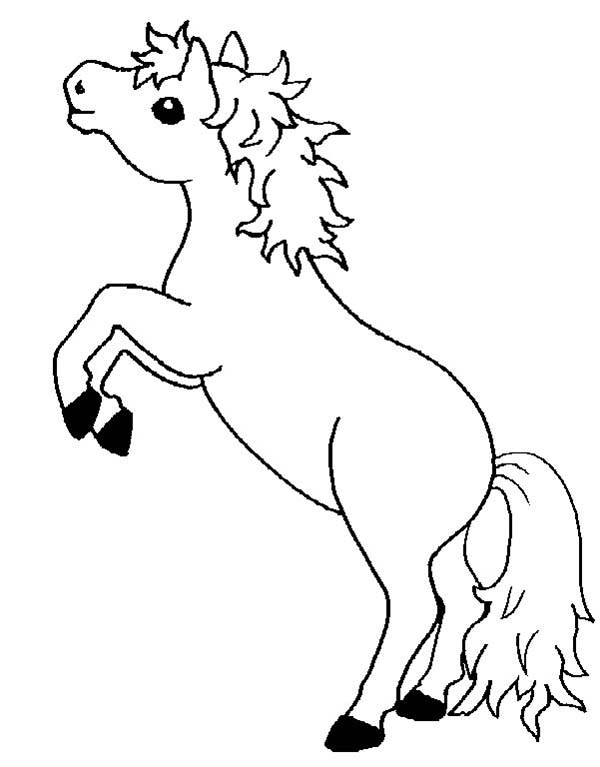free horse coloring pages for kids