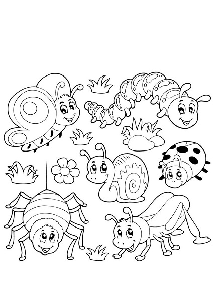Free Insect Coloring Pages