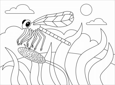 Free Insect Printables Coloring Pages