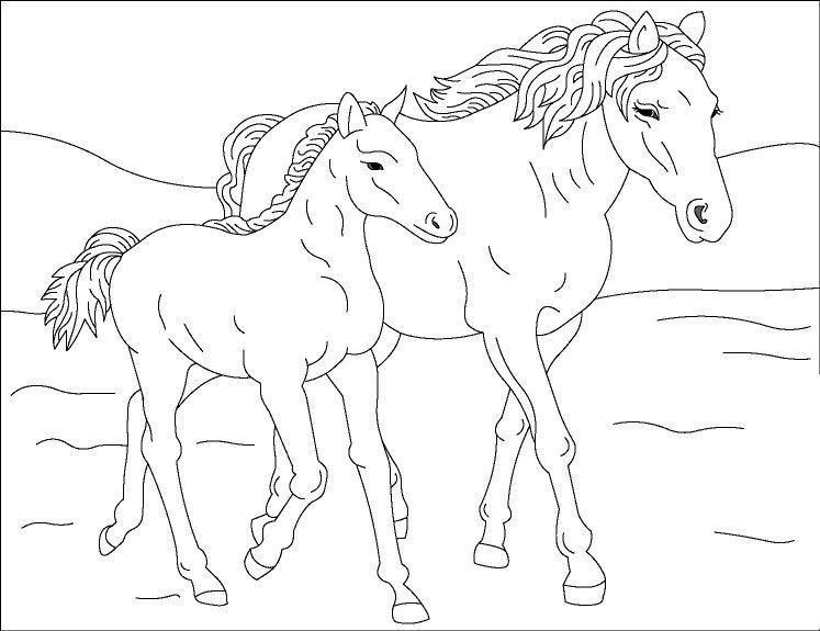 free mother and baby horse coloring pages