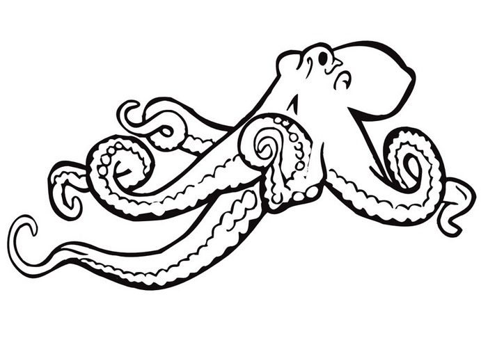 free octopus coloring page