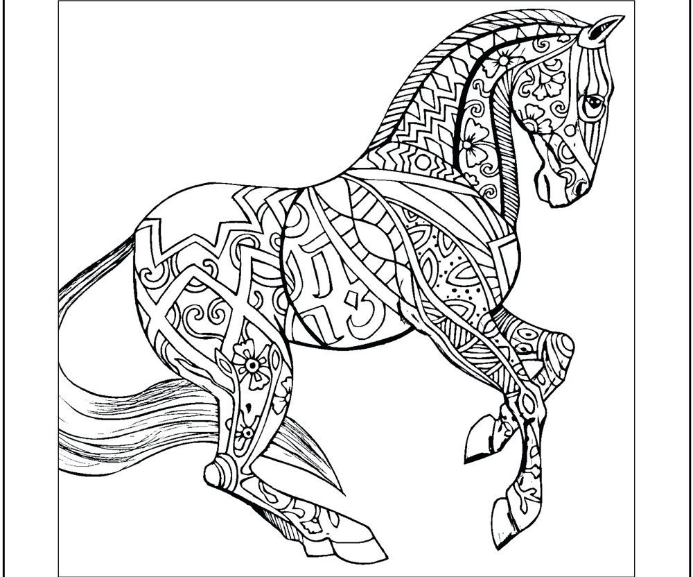 free printable adult coloring pages horse