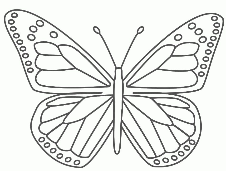 free printable butterfly coloring pages