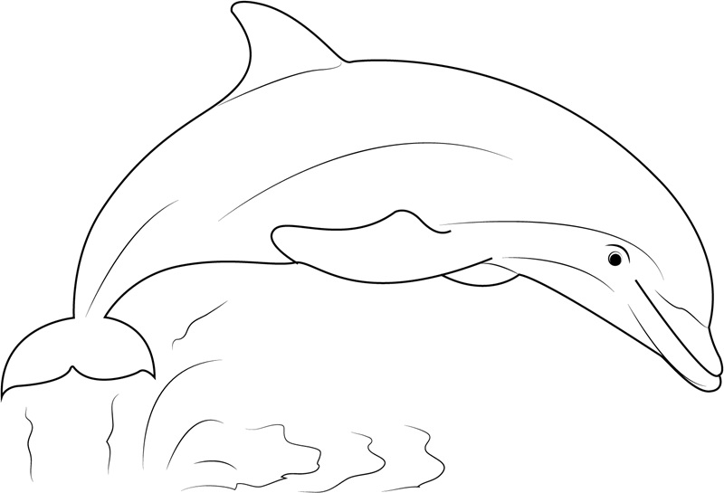 Free Printable Coloring Pages Dolphins