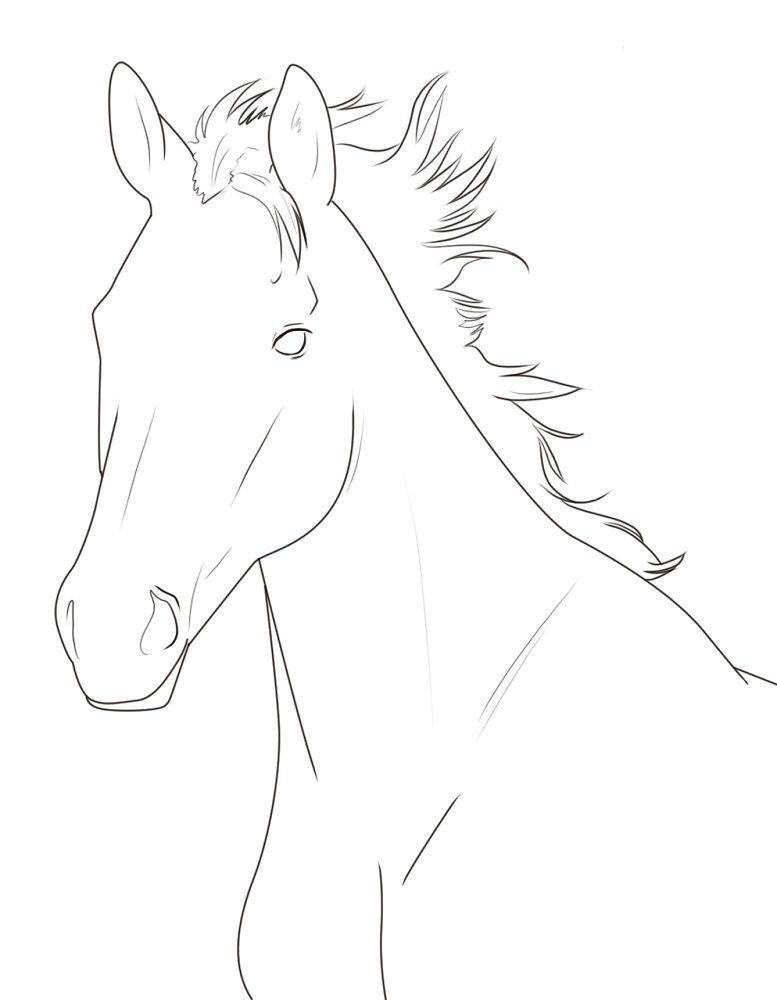 free printable coloring pages of horse head