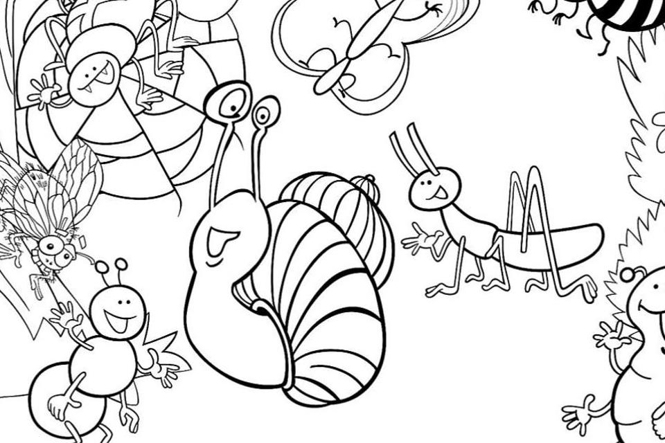free printable coloring pages of insects